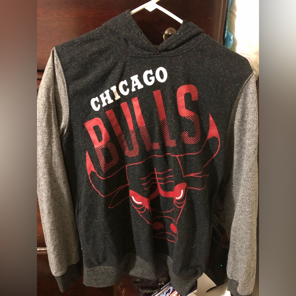 Chicago bulls